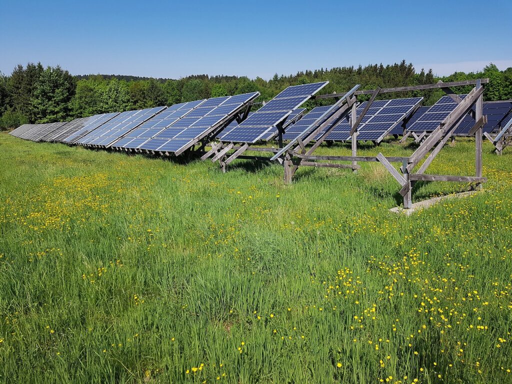 solar field, meadow, energy