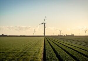 wind turbines on green grass field under blue sky during daytime